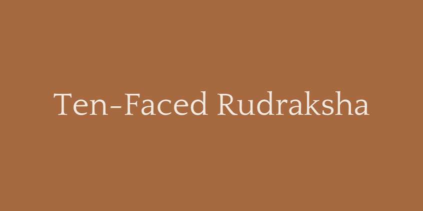 Ten-Faced Rudraksha (10 Mukhi Rudraksha)